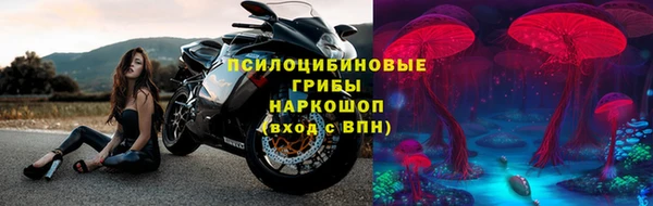 сатива Богданович