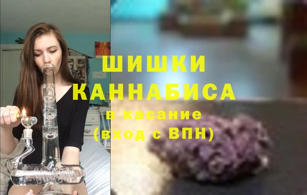 сатива Богданович