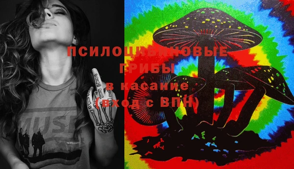 сатива Богданович