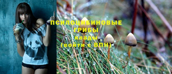 МДПВ Богородицк