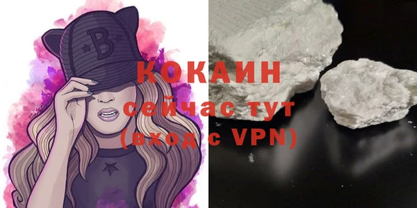 МДПВ Богородицк
